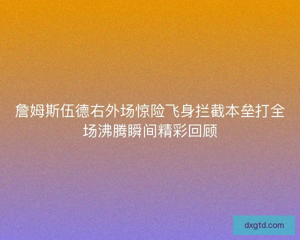 詹姆斯伍德右外场惊险飞身拦截本垒打全场沸腾瞬间精彩回顾